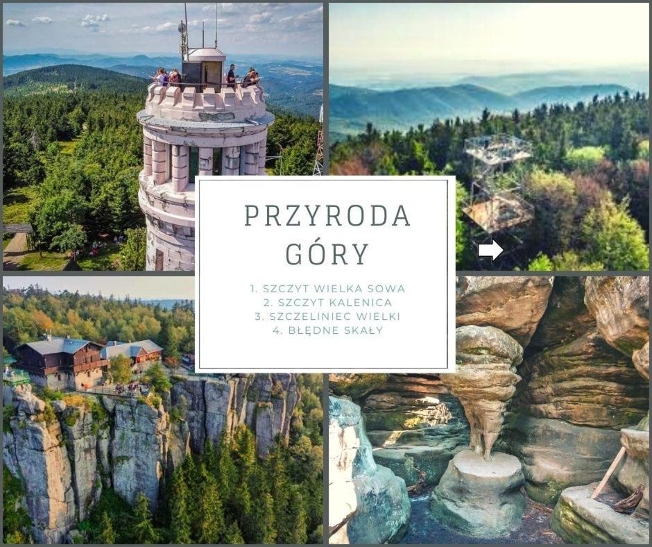 Przestronny Apartament Nr 7 Z Widokiem Na Gory Sowie Bielawa  Extérieur photo