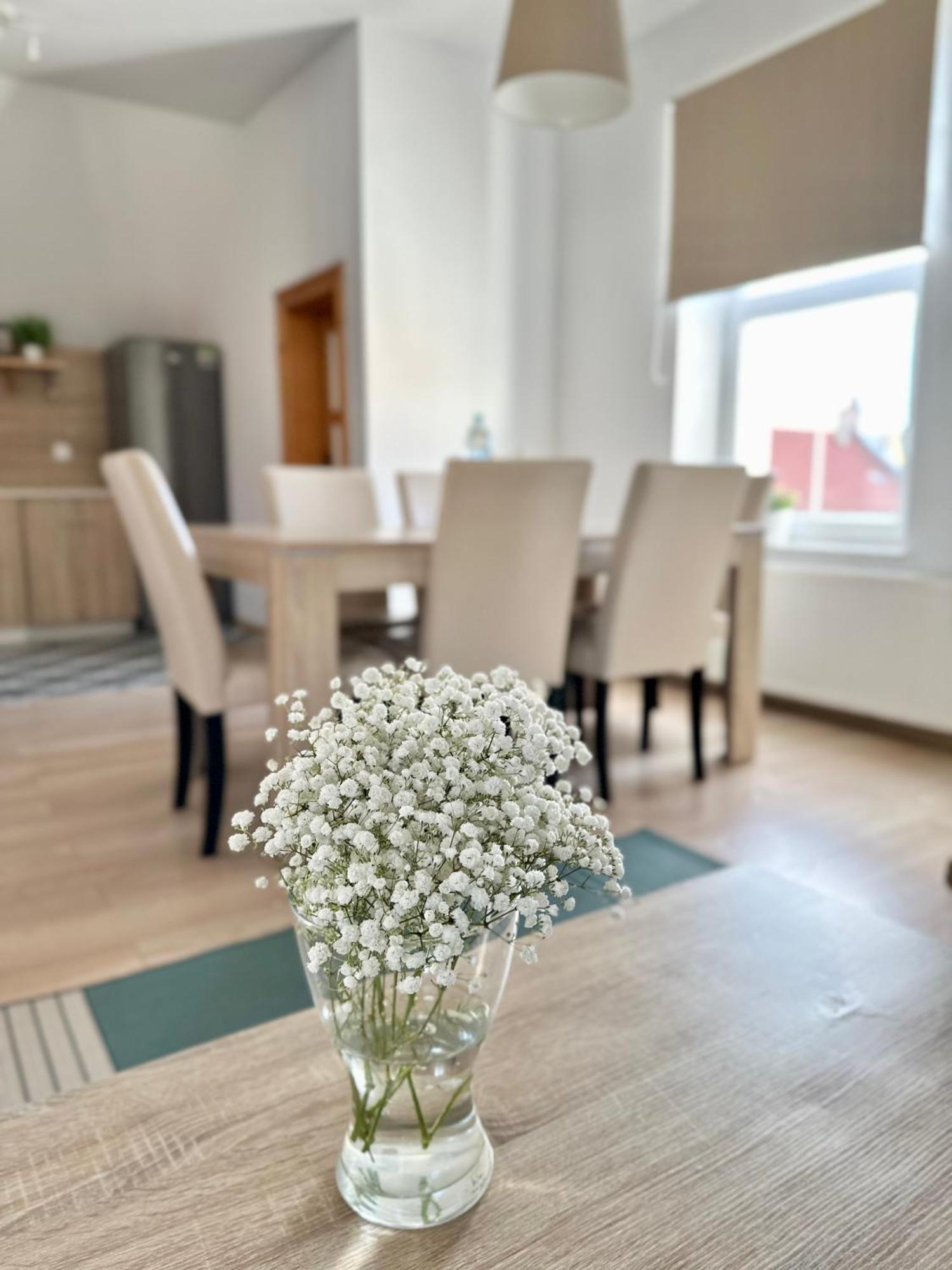 Przestronny Apartament Nr 7 Z Widokiem Na Gory Sowie Bielawa  Extérieur photo